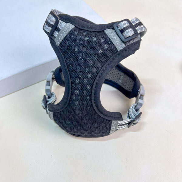 Voditko s postrojem - Obrázek 6