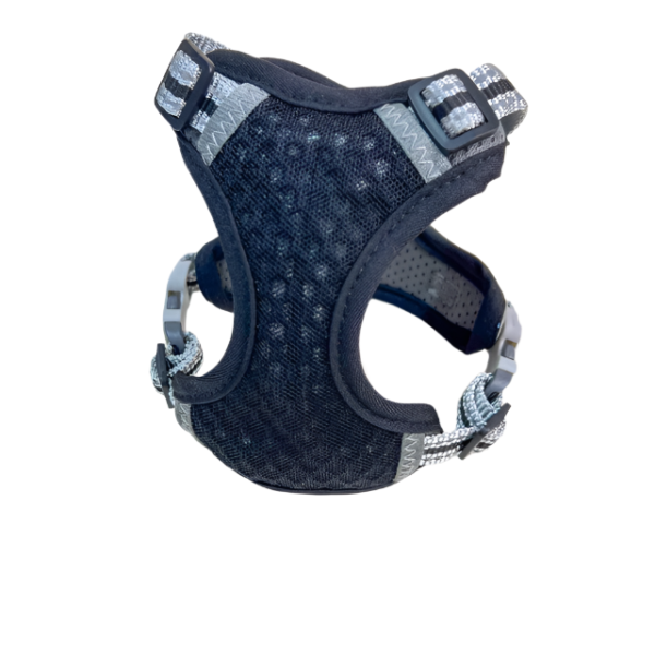 Voditko s postrojem - Obrázek 10