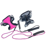 Voditko s postrojem - Obrázek 8