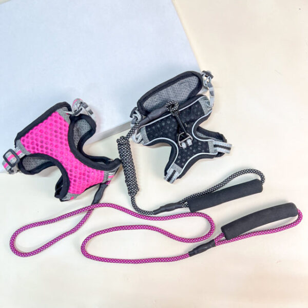 Voditko s postrojem - Obrázek 2