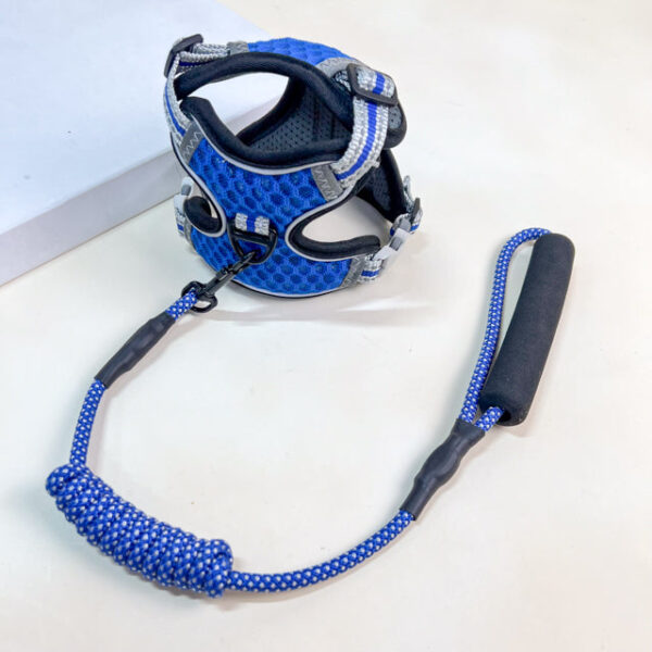 Vodítko s postrojem - Obrázek 3