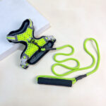 Vodítko s postrojem - Obrázek 4