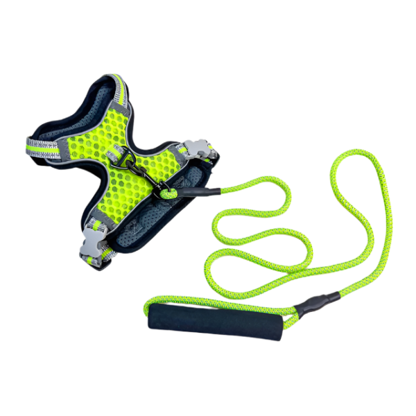 Vodítko s postrojem - Obrázek 8