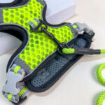 Vodítko s postrojem - Obrázek 5