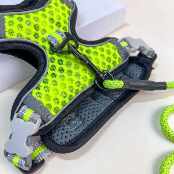 Vodítko s postrojem - Obrázek 5