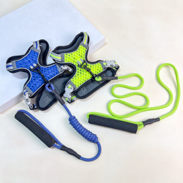 Vodítko s postrojem - Obrázek 2