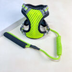 Vodítko s postrojem - Obrázek 6