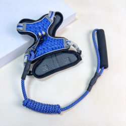 Vodítko s postrojem