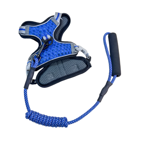 Vodítko s postrojem - Obrázek 9