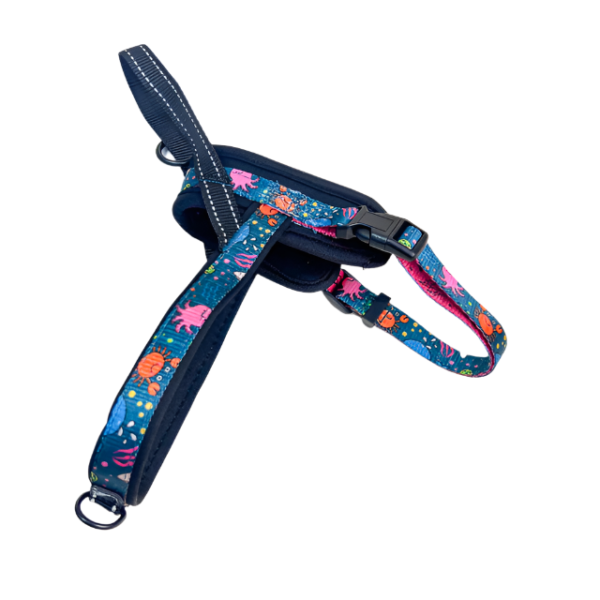 Barevný postroj pro psy 2.5cm (obvod 60-75cm) - Obrázek 8