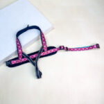 Barevný postroj pro psy 2.5cm (obvod 60-75cm)