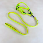 Sada vodítka s postrojem 2 cm (obvod 45-60cm), vodítko 118cm - Obrázek 2