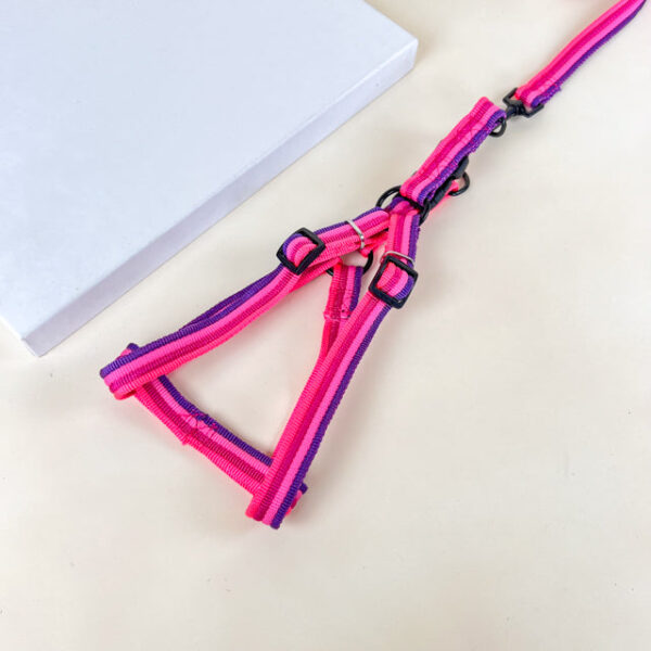 Sada vodítka s postrojem 2 cm (obvod 45-60cm), vodítko 118cm - Obrázek 13