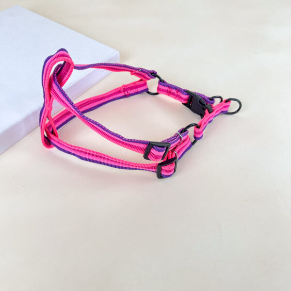 Sada vodítka s postrojem 2 cm (obvod 45-60cm), vodítko 118cm - Obrázek 12