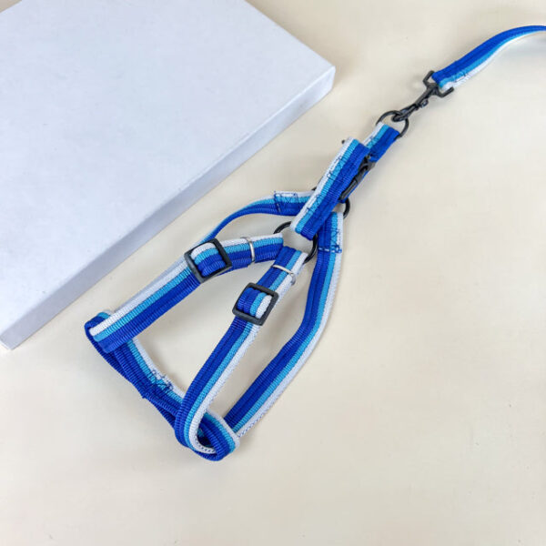 Sada vodítka s postrojem 2 cm (obvod 45-60cm), vodítko 118cm - Obrázek 9