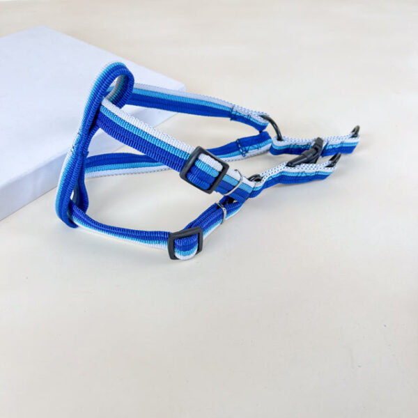 Sada vodítka s postrojem 2 cm (obvod 45-60cm), vodítko 118cm - Obrázek 8