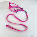 Sada vodítka s postrojem 2 cm (obvod 45-60cm), vodítko 118cm - Obrázek 5