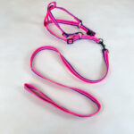 Sada vodítka s postrojem 2 cm (obvod 45-60cm), vodítko 118cm - Obrázek 4