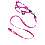 Sada vodítka s postrojem 2 cm (obvod 45-60cm), vodítko 118cm - Obrázek 24