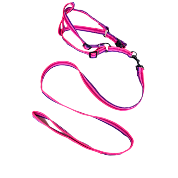 Sada vodítka s postrojem 2 cm (obvod 45-60cm), vodítko 118cm - Obrázek 24