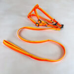 Sada vodítka s postrojem 2 cm (obvod 45-60cm), vodítko 118cm