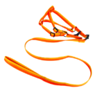 Sada vodítka s postrojem 2 cm (obvod 45-60cm), vodítko 118cm - Obrázek 21