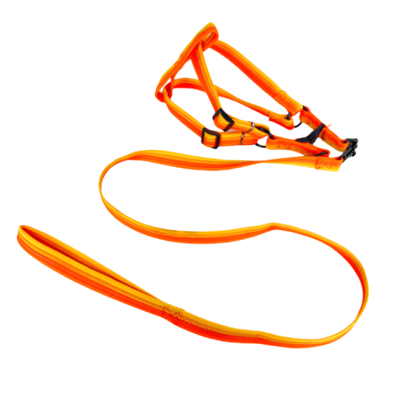 Sada vodítka s postrojem 2 cm (obvod 45-60cm), vodítko 118cm - Obrázek 21