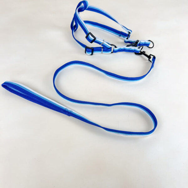 Sada vodítka s postrojem 2 cm (obvod 45-60cm), vodítko 118cm - Obrázek 3