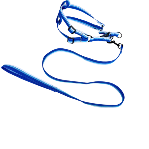 Sada vodítka s postrojem 2 cm (obvod 45-60cm), vodítko 118cm - Obrázek 23