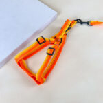 Sada vodítka s postrojem 2 cm (obvod 45-60cm), vodítko 118cm - Obrázek 20