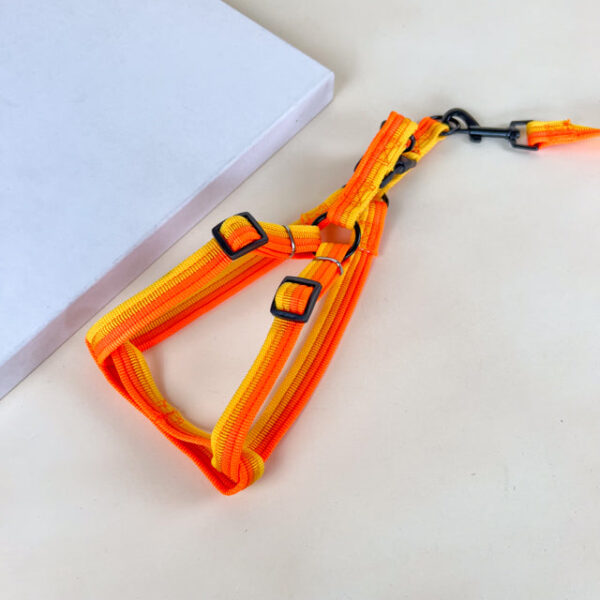 Sada vodítka s postrojem 2 cm (obvod 45-60cm), vodítko 118cm - Obrázek 20