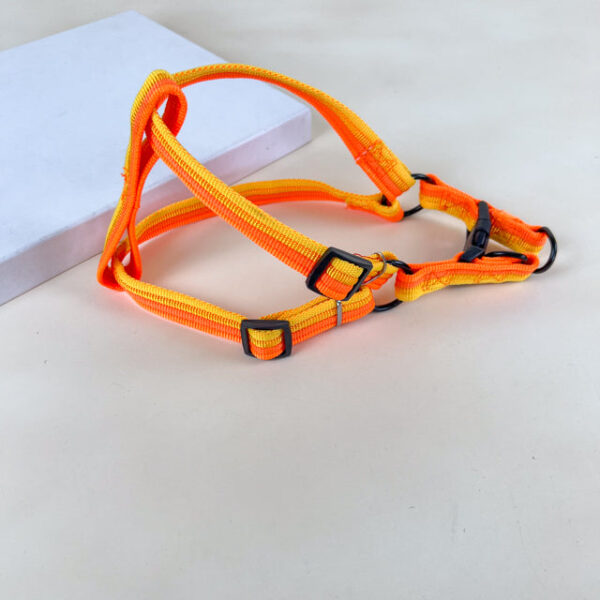 Sada vodítka s postrojem 2 cm (obvod 45-60cm), vodítko 118cm - Obrázek 19