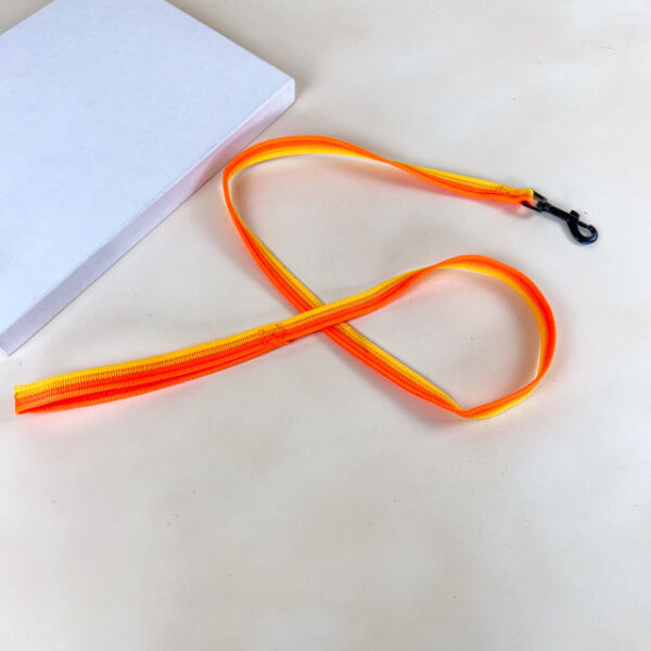 Sada vodítka s postrojem 2 cm (obvod 45-60cm), vodítko 118cm - Obrázek 17