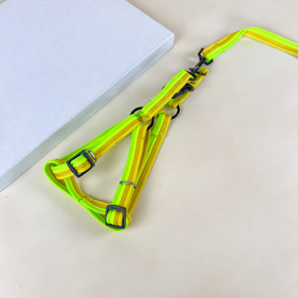 Sada vodítka s postrojem 2 cm (obvod 45-60cm), vodítko 118cm - Obrázek 18