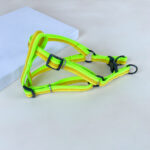 Sada vodítka s postrojem 2 cm (obvod 45-60cm), vodítko 118cm - Obrázek 16