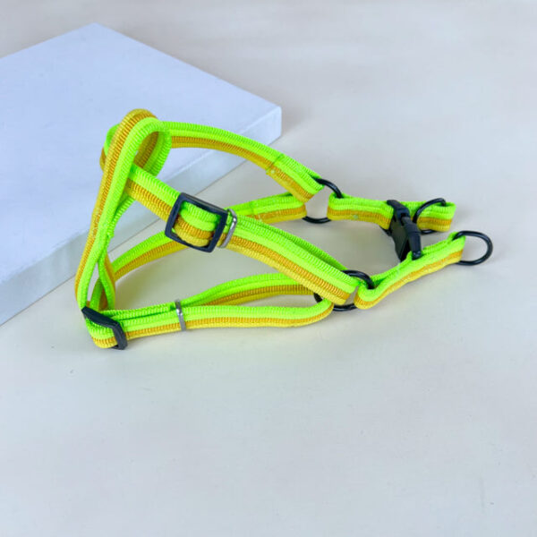 Sada vodítka s postrojem 2 cm (obvod 45-60cm), vodítko 118cm - Obrázek 16