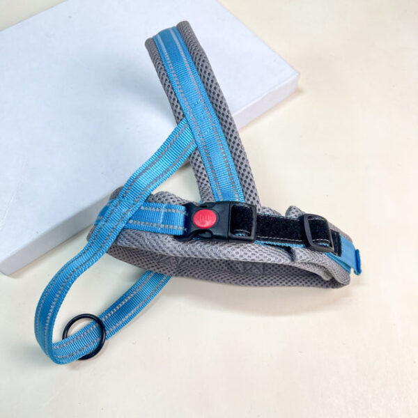 Postroj pro psy M 62-72 cm - Obrázek 15