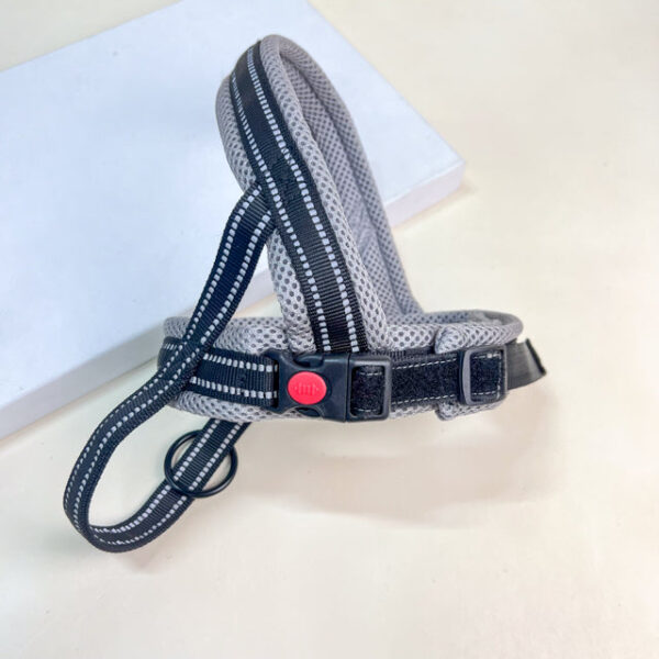 Postroj pro psy M 62-72 cm - Obrázek 11