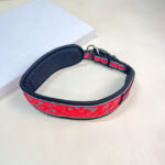 Polstrovaný reflexní obojek M s pojistkou (50-65 cm)