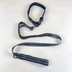 Pružné vodítko s obojkem (vodítko 115 cm, obojek 35-55cm)