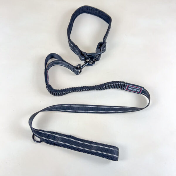 Pružné vodítko s obojkem (vodítko 115 cm, obojek 35-55cm) - Obrázek 1