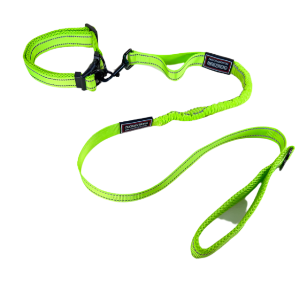 Pružné vodítko s obojkem (vodítko 115 cm, obojek 35-55cm) - Obrázek 36