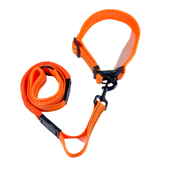 Pružné vodítko s obojkem (vodítko 115 cm, obojek 35-55cm) - Obrázek 34