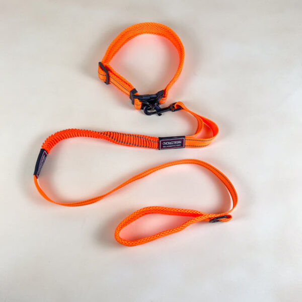 Pružné vodítko s obojkem (vodítko 115 cm, obojek 35-55cm) - Obrázek 17