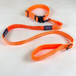 Pružné vodítko s obojkem (vodítko 115 cm, obojek 35-55cm) - Obrázek 18