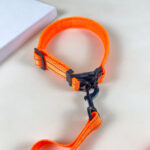 Pružné vodítko s obojkem (vodítko 115 cm, obojek 35-55cm) - Obrázek 19