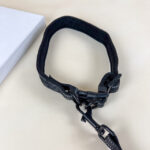 Pružné vodítko s obojkem (vodítko 115 cm, obojek 35-55cm) - Obrázek 3