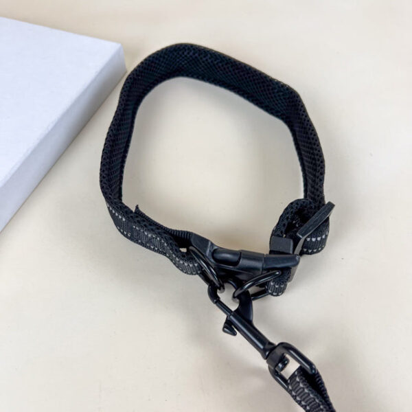 Pružné vodítko s obojkem (vodítko 115 cm, obojek 35-55cm) - Obrázek 3