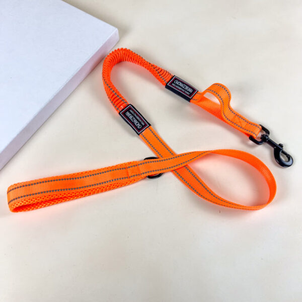 Pružné vodítko s obojkem (vodítko 115 cm, obojek 35-55cm) - Obrázek 22