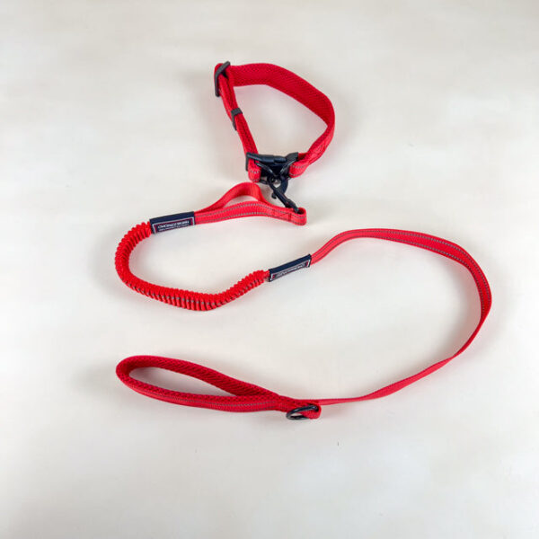 Pružné vodítko s obojkem (vodítko 115 cm, obojek 35-55cm) - Obrázek 23